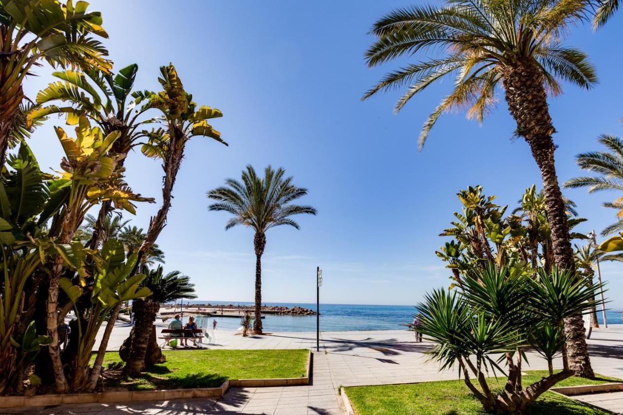Studio Tamarindo تورّيفيِخا المظهر الخارجي الصورة